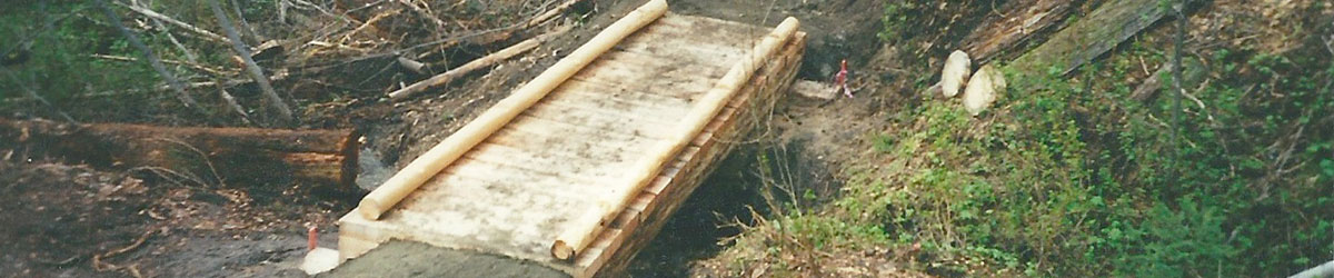 Bridge Crossing