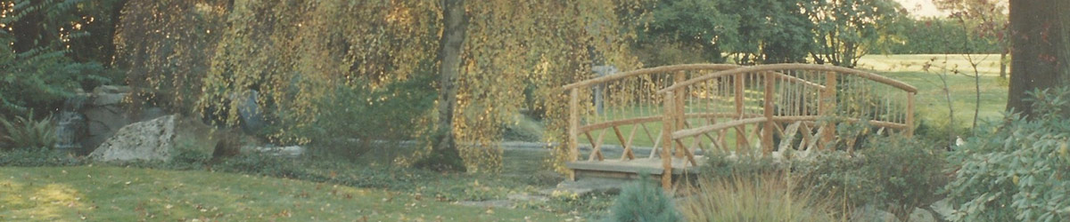 Cedar and Birch Park Bridge