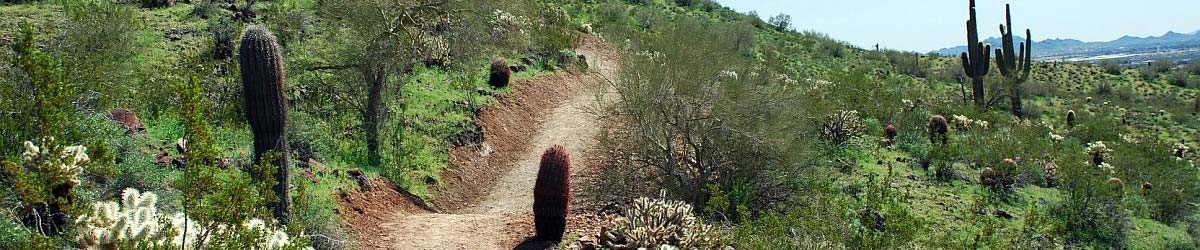 Phoenix Sonoran Preserve Trail