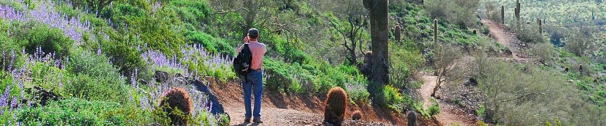 Phoenix Sonoran Preserve Trail Hiker