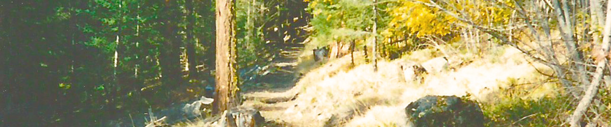 Old Trail in the Pacific Northwest