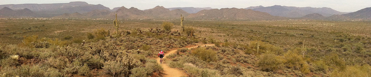 Phoenix Sonoran Preserve Mountain Biker